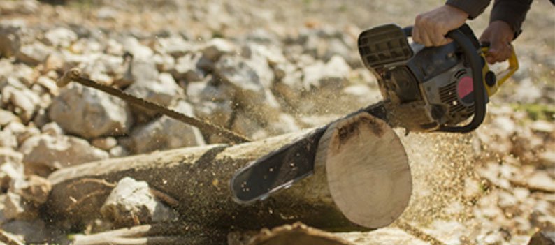 Man Cutting wood with saw